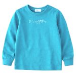 REMERA M/L VARON JERSEY P VEINTITRES